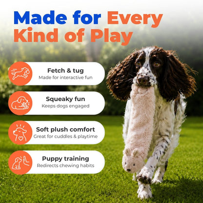 2-In-1 Stuffless Squeaky Dog Toy - Hare, Medium
